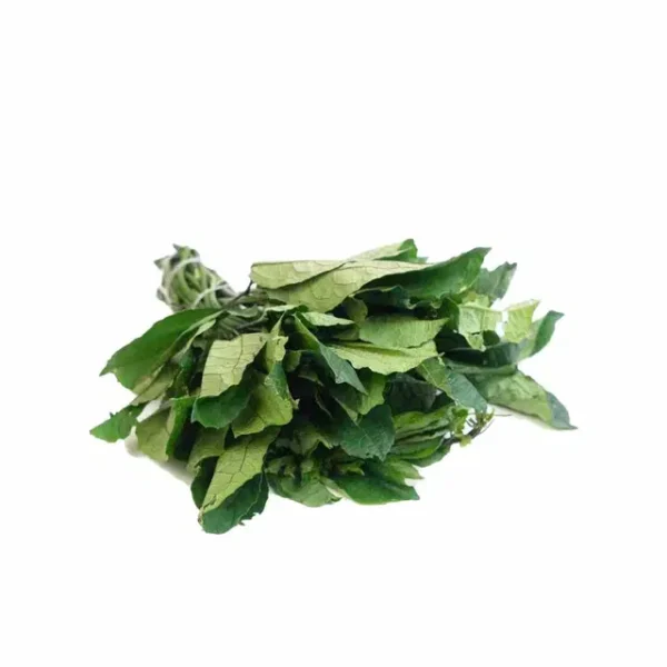 Ugu Leaf